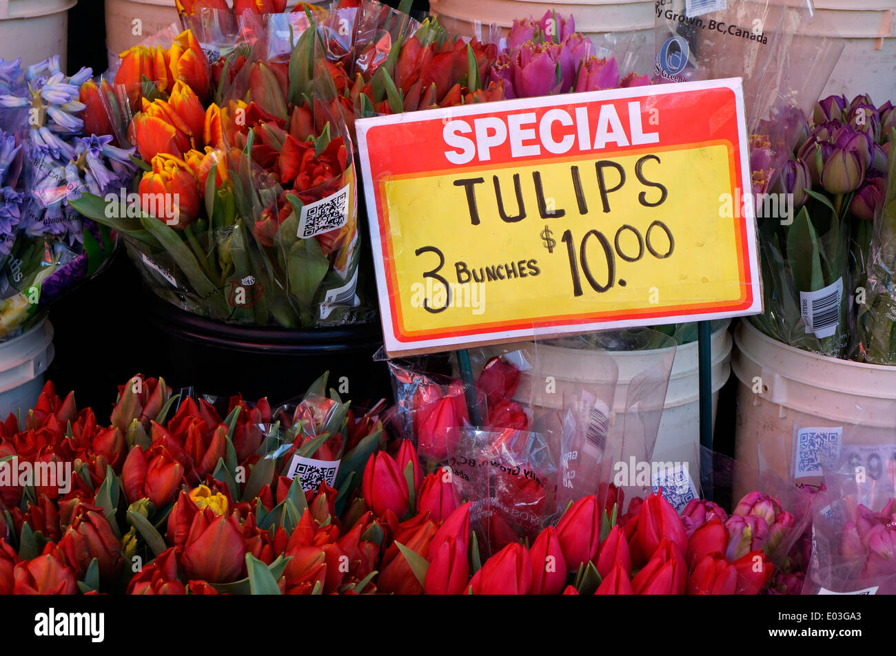 Bunches of tulips for sale outside a grocery store Stock Photo