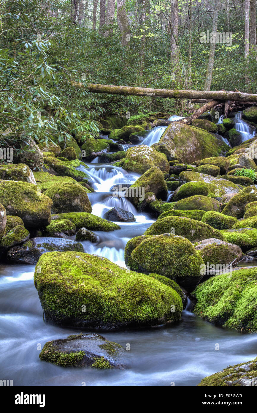 Cascading Water at Roaring Fork, Gatlinburg, Great Smoky Mountains Stock Photo