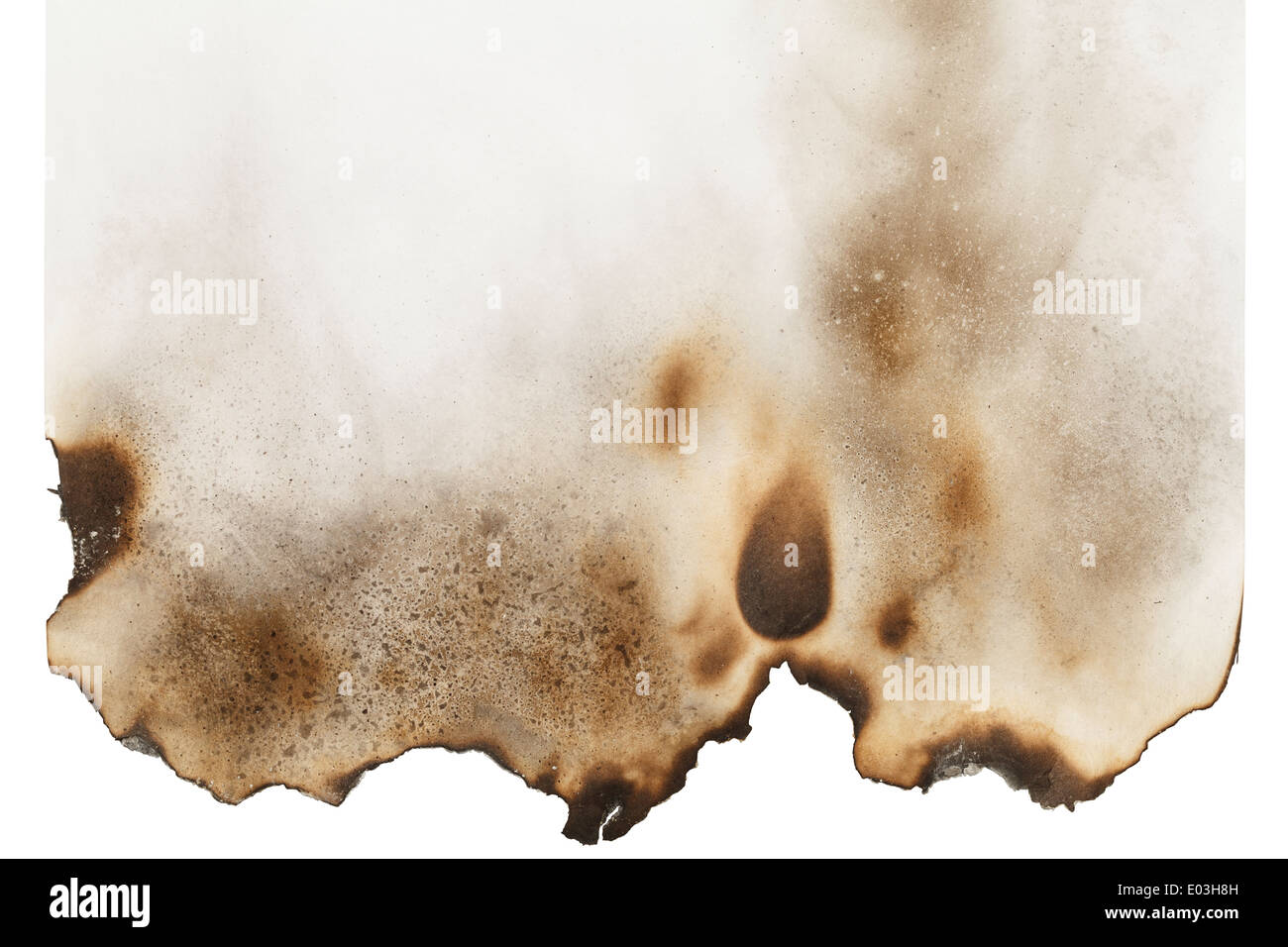 Page of Burnt Paper with Copy Space Isolated on White Background. Stock Photo