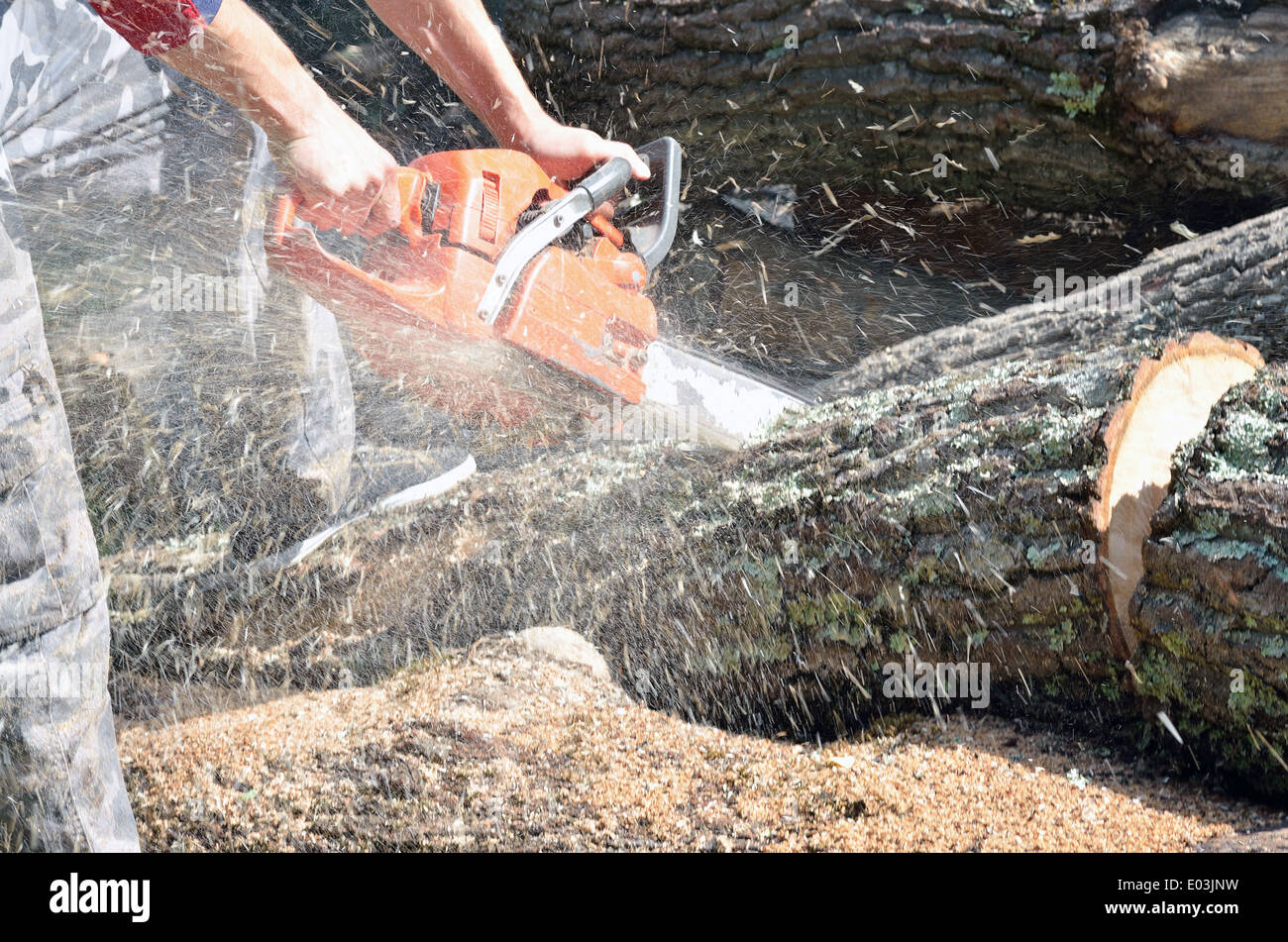 Chainsaw man wood hi-res stock photography and images - Alamy
