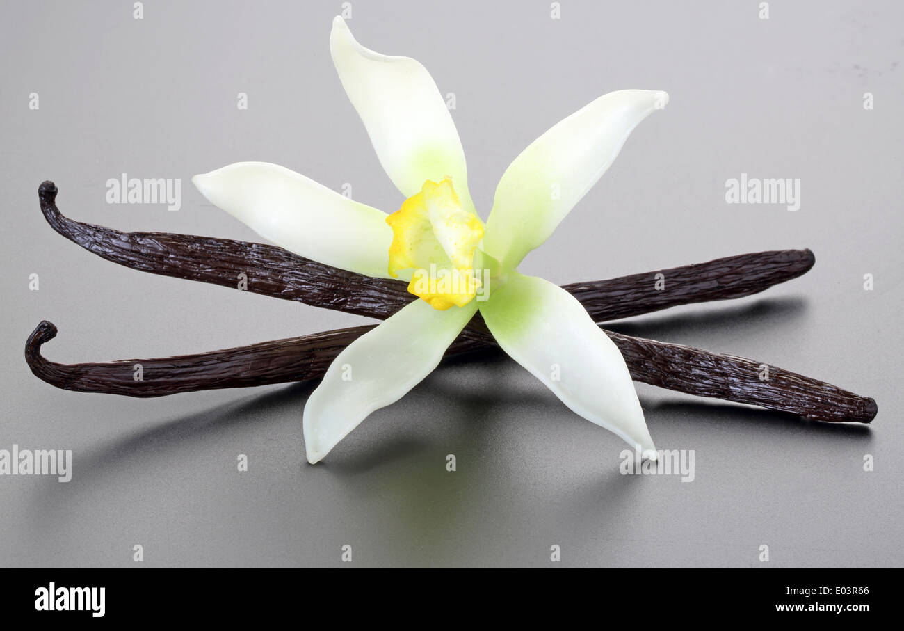 VANILLA FLOWERS AND PODS Stock Photo Alamy