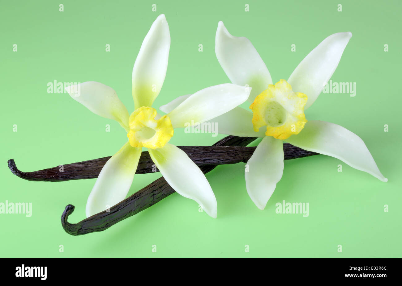 VANILLA FLOWERS AND PODS Stock Photo Alamy