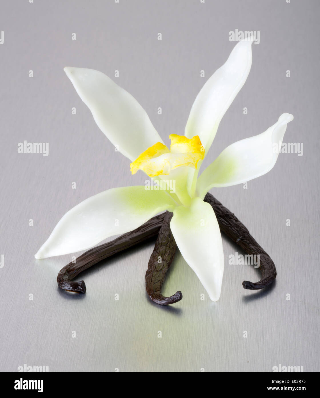 Vanilla pods and flowers hires stock photography and images Alamy