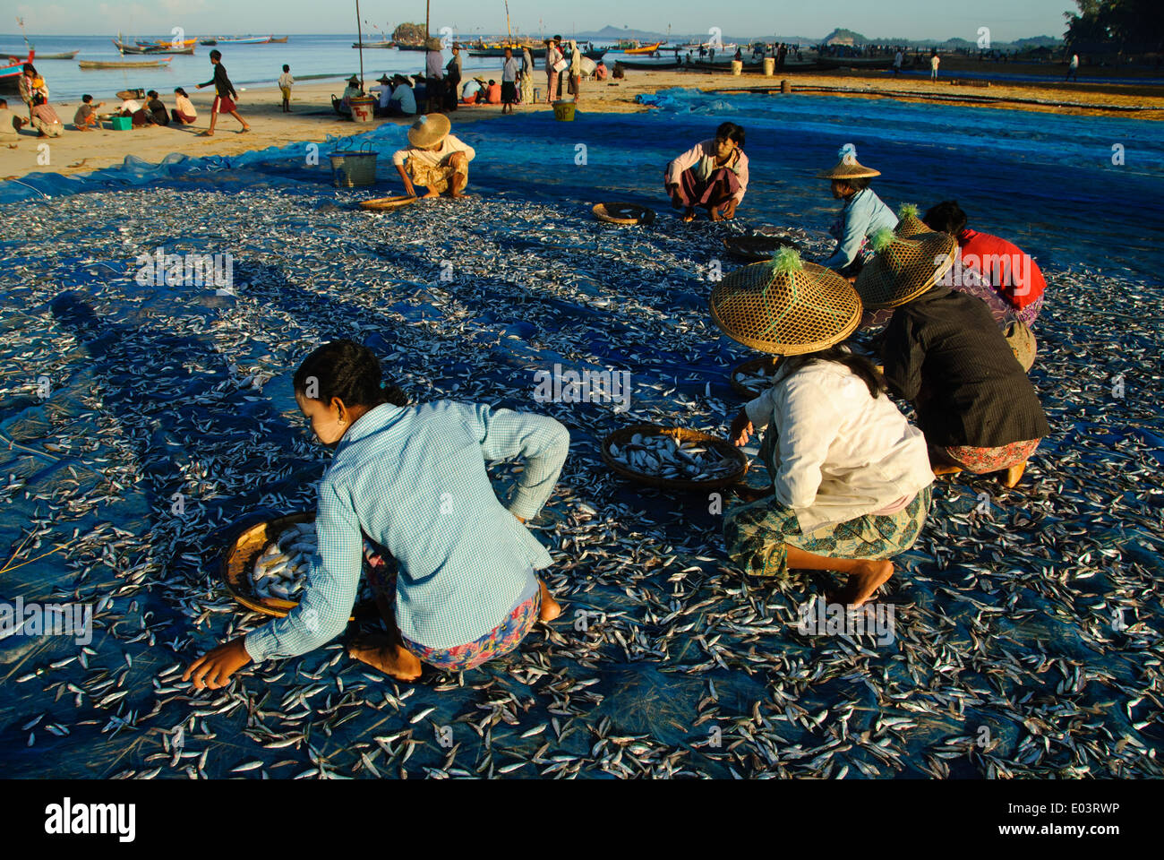 Fishermen drying fish on the beach Stock Photo - Alamy