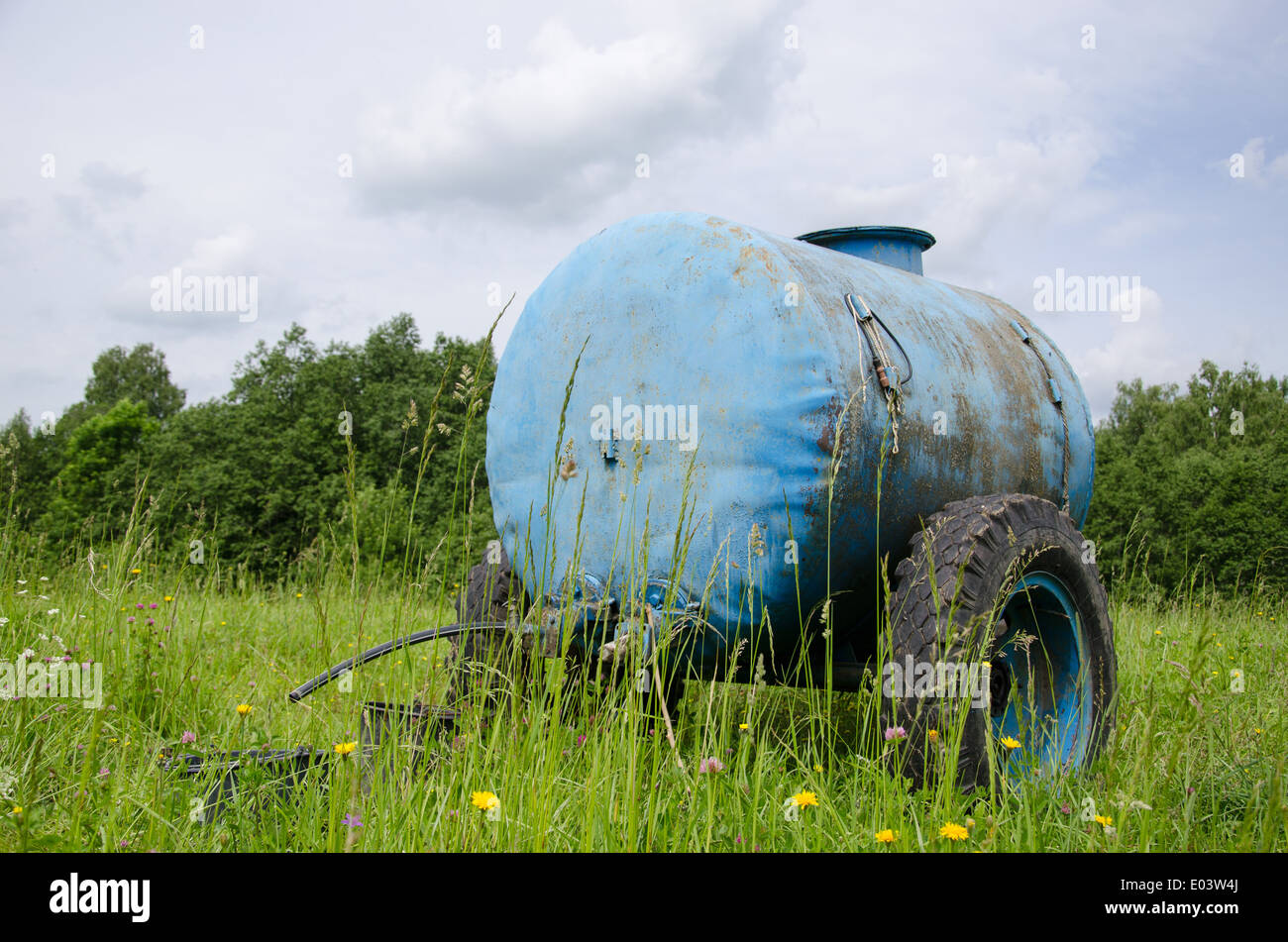 Blue water cistern for animal stand between pasture grass and clovers move in wind. Stock Photo