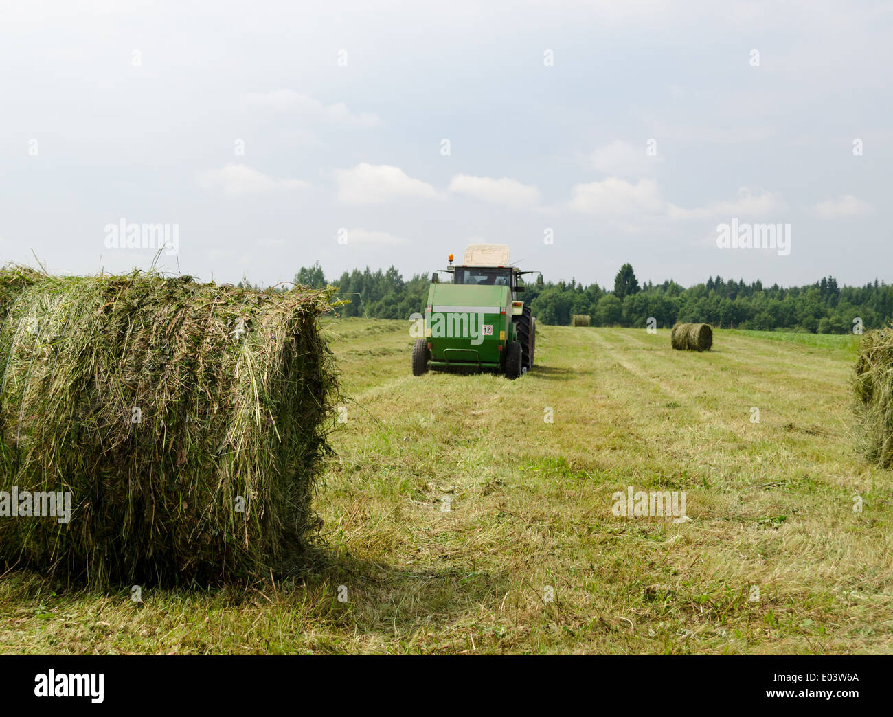 Straw bales and agricultural machine tractor collect gather hay in field near rural village houses. Stock Photo