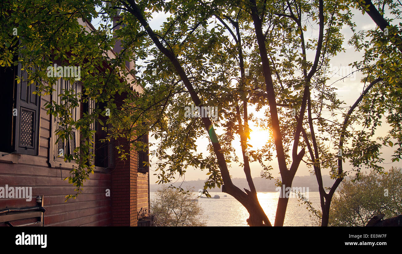 Spring sun sunshine sunlight hi-res stock photography and images - Alamy