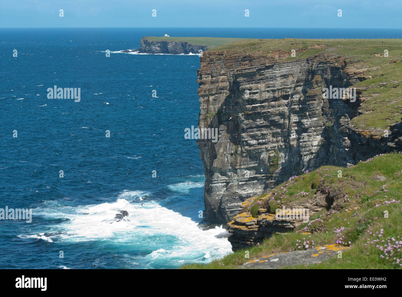 Marwick Head, RSPB wildlife reserve, mainland, Orkney, Scotland. The cliffs are home to many nesting seabirds. Stock Photo