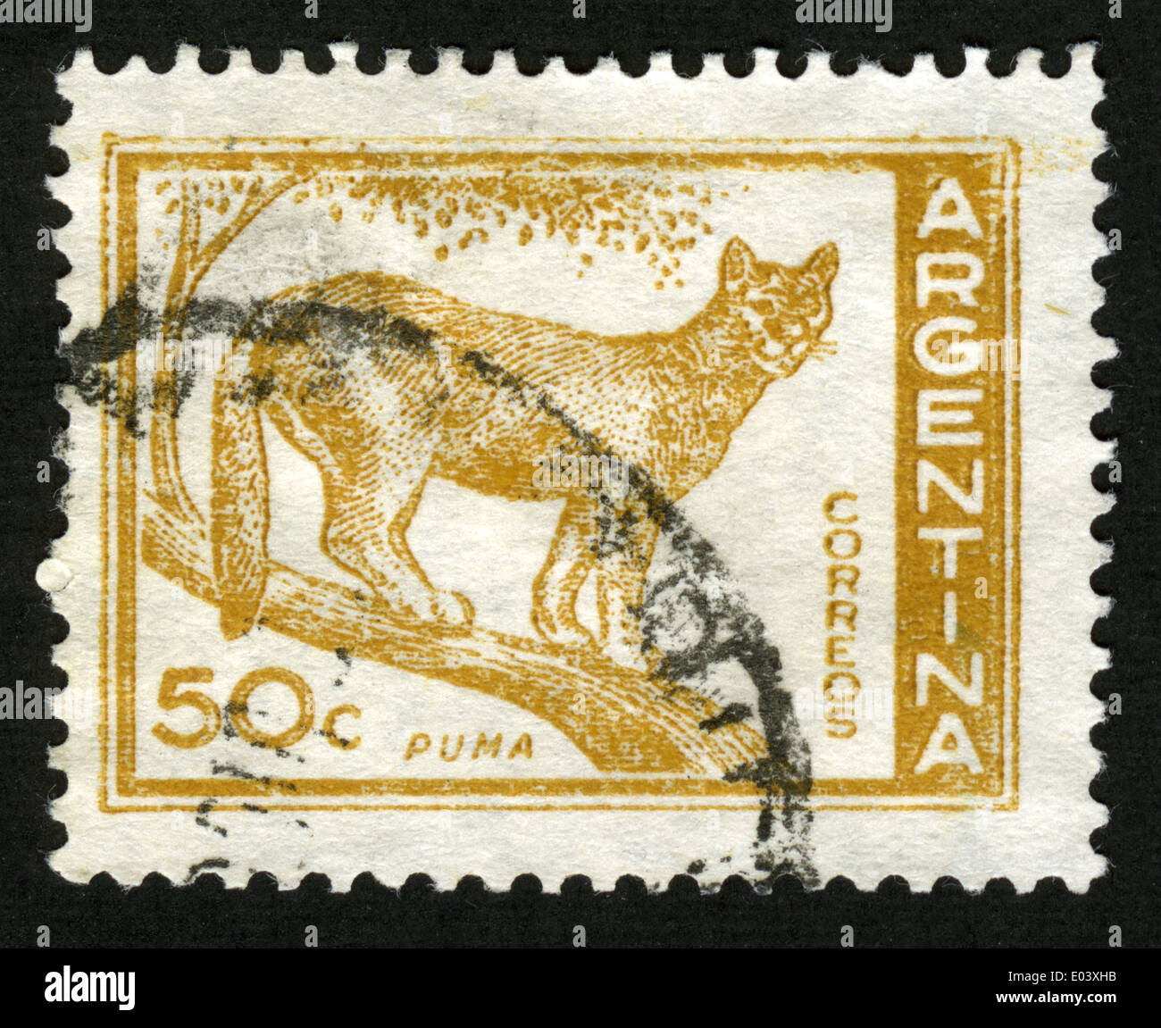Argentina, post mark, stamp, puma,animals Stock Photo - Alamy