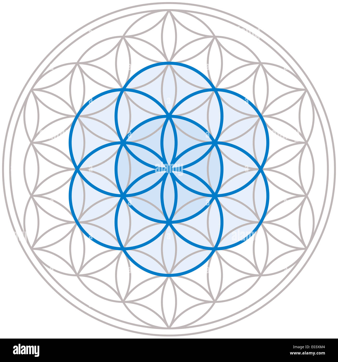Seed Of Life In Flower Of Life Stock Photo