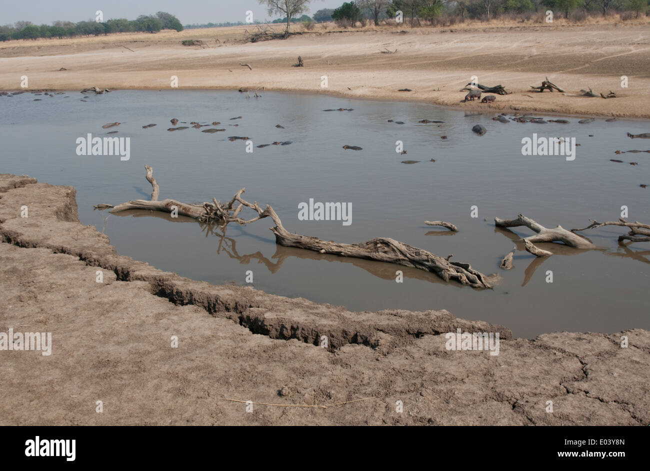 Collapsing banks of Luangwa River in late dry season South Luangwa ...