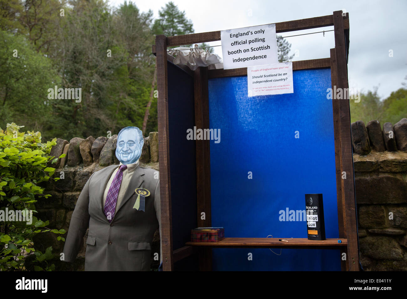 Wray, Lancaster, 1st May 2014. Alex Salmond effigy,statue, statuette, carving, sculpture, graven image, model, dummy, figure, figurine, guy; ( Hero or Villain), standing next to voting booth and ballot box,  (Englands only official polling station on Scottish Independence),  one of the Latest additions to the Wray Scarecrow Festival which opened on for a series of events including Scarecrow parade. Stock Photo
