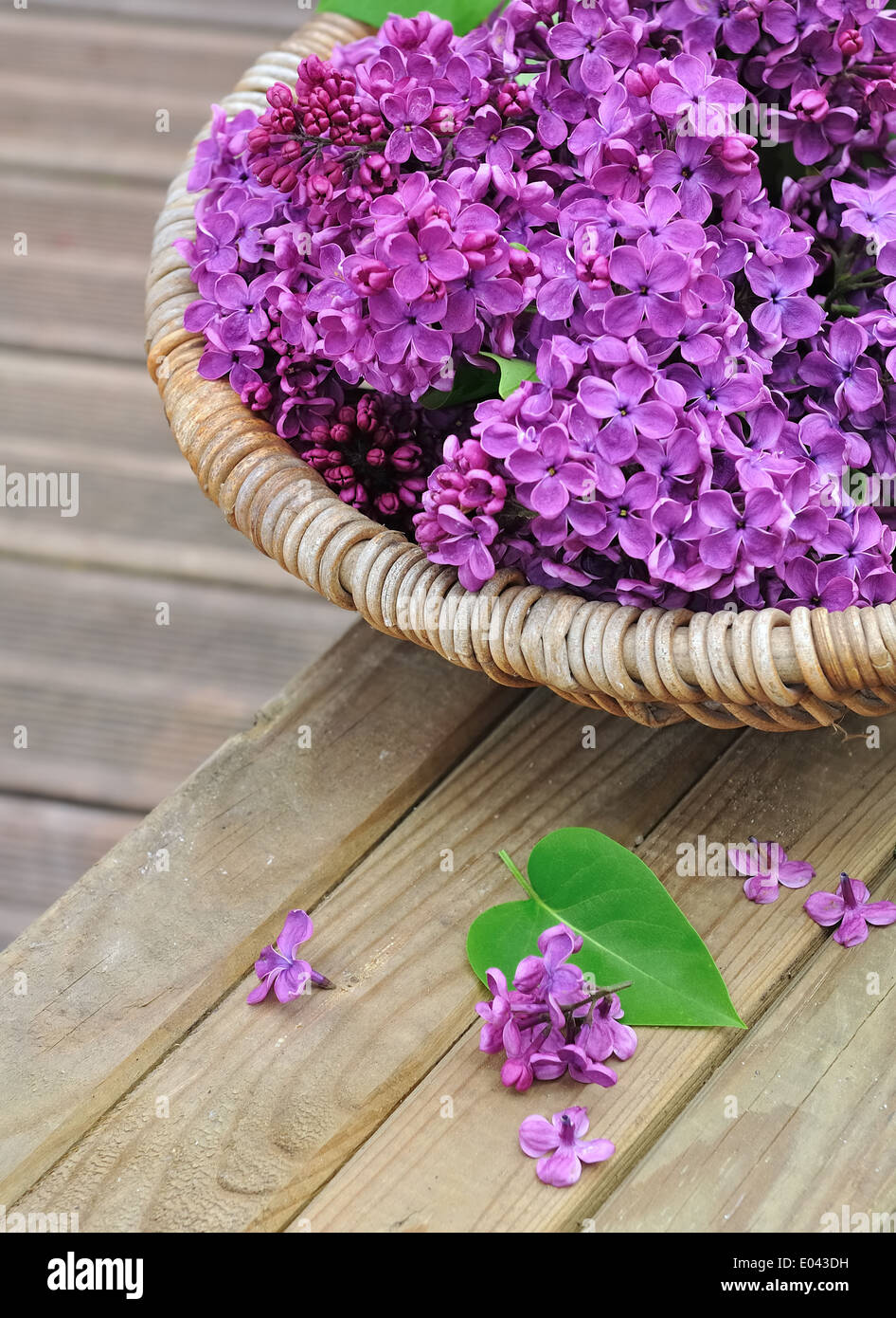 lilac flowers in a basket placed on a wooden plank Stock Photo