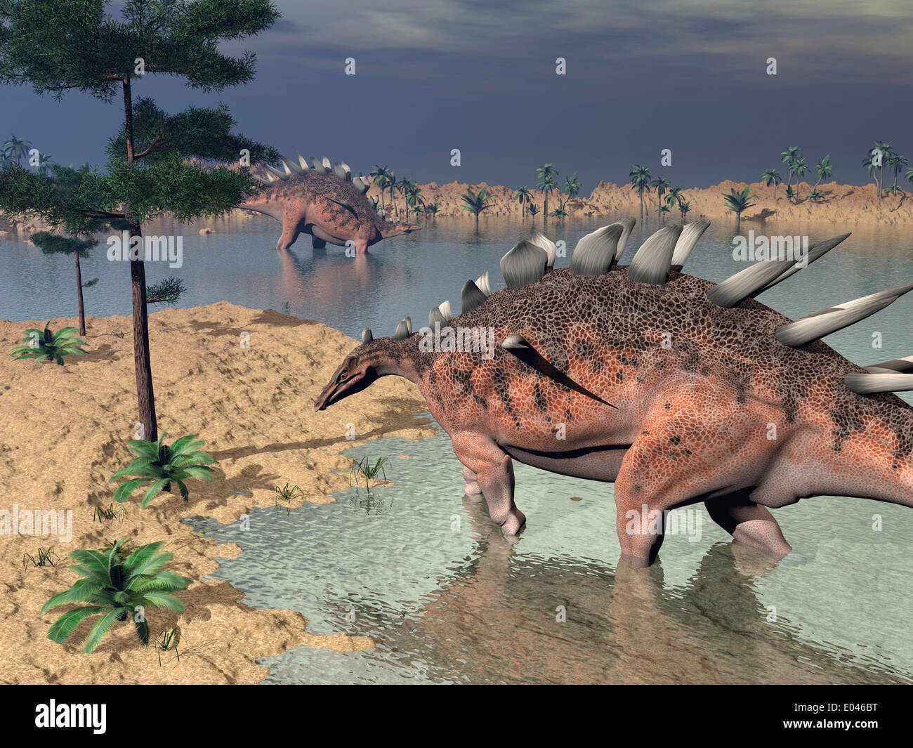 Two Kentrosaurus dinosaurs walking in the water next to sand and trees. Stock Photo