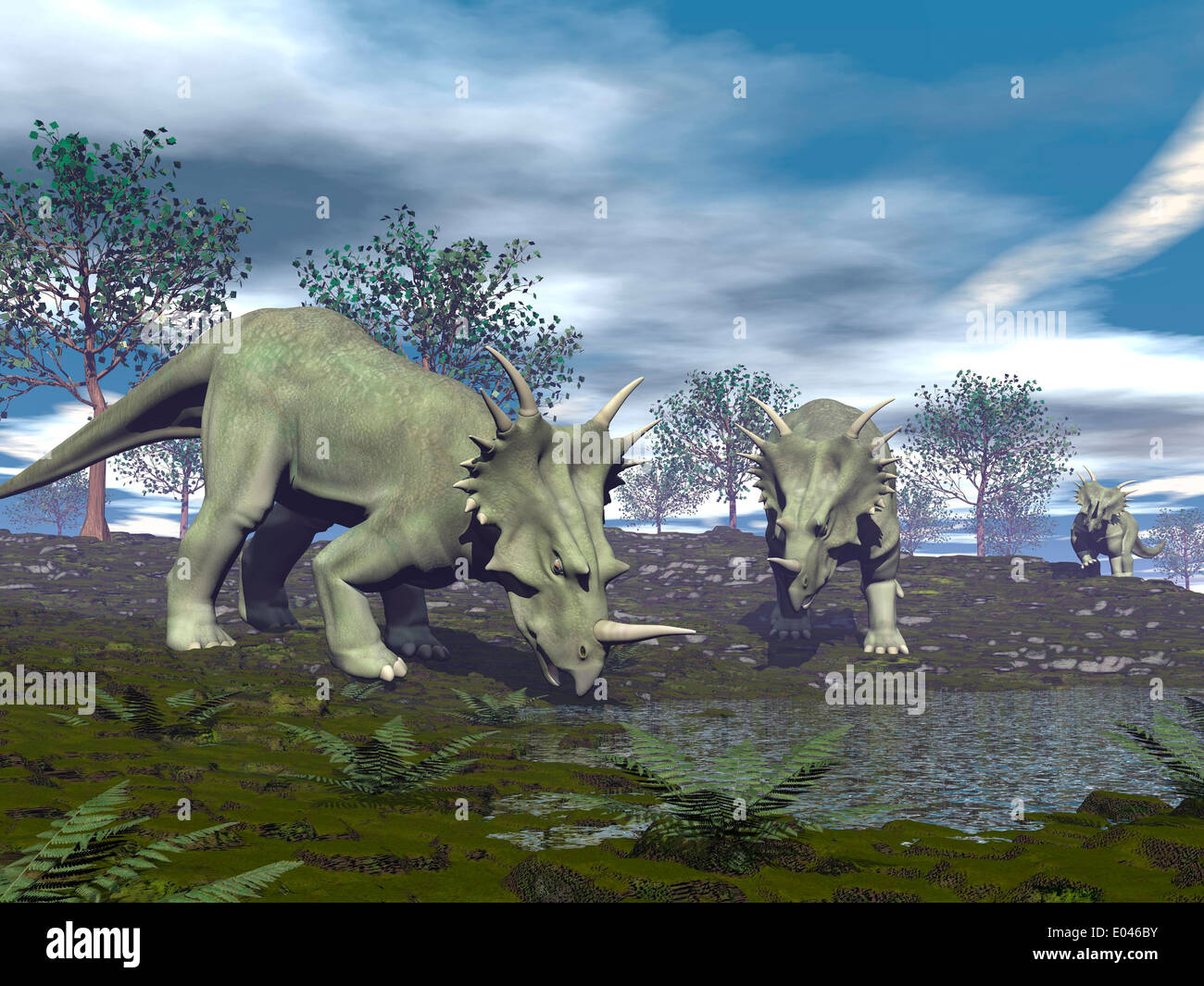 Three Styracosaurus dinosaurs drinking from a nearby lake. Stock Photo