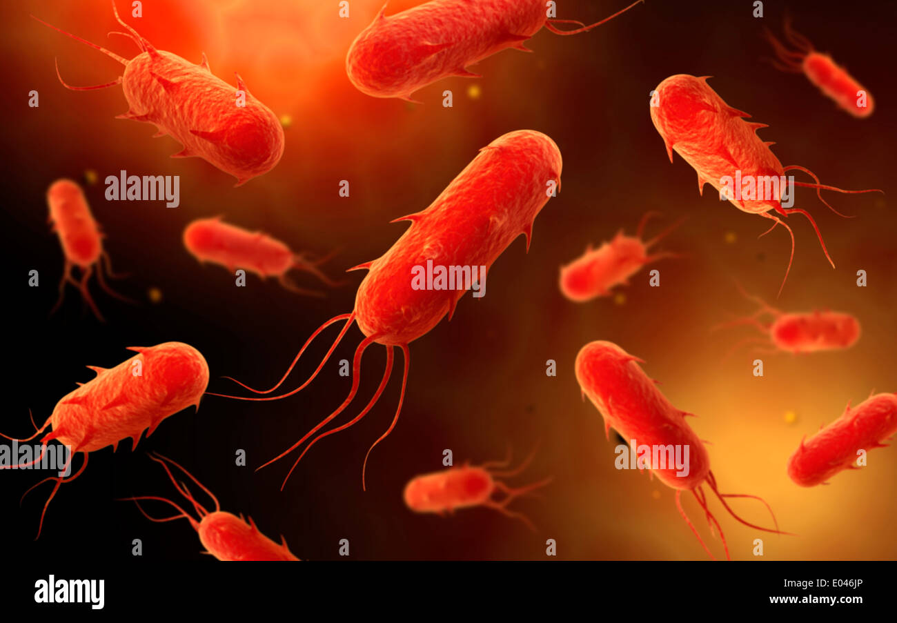 Conceptual image of flagellate bacterium. Stock Photo
