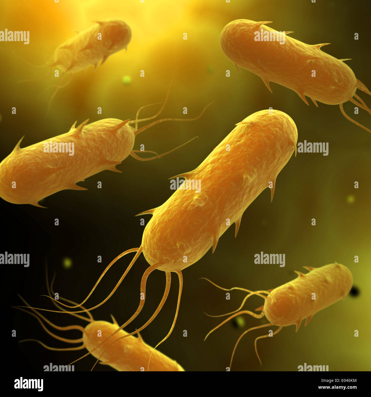 Conceptual image of flagellate bacterium. Stock Photo