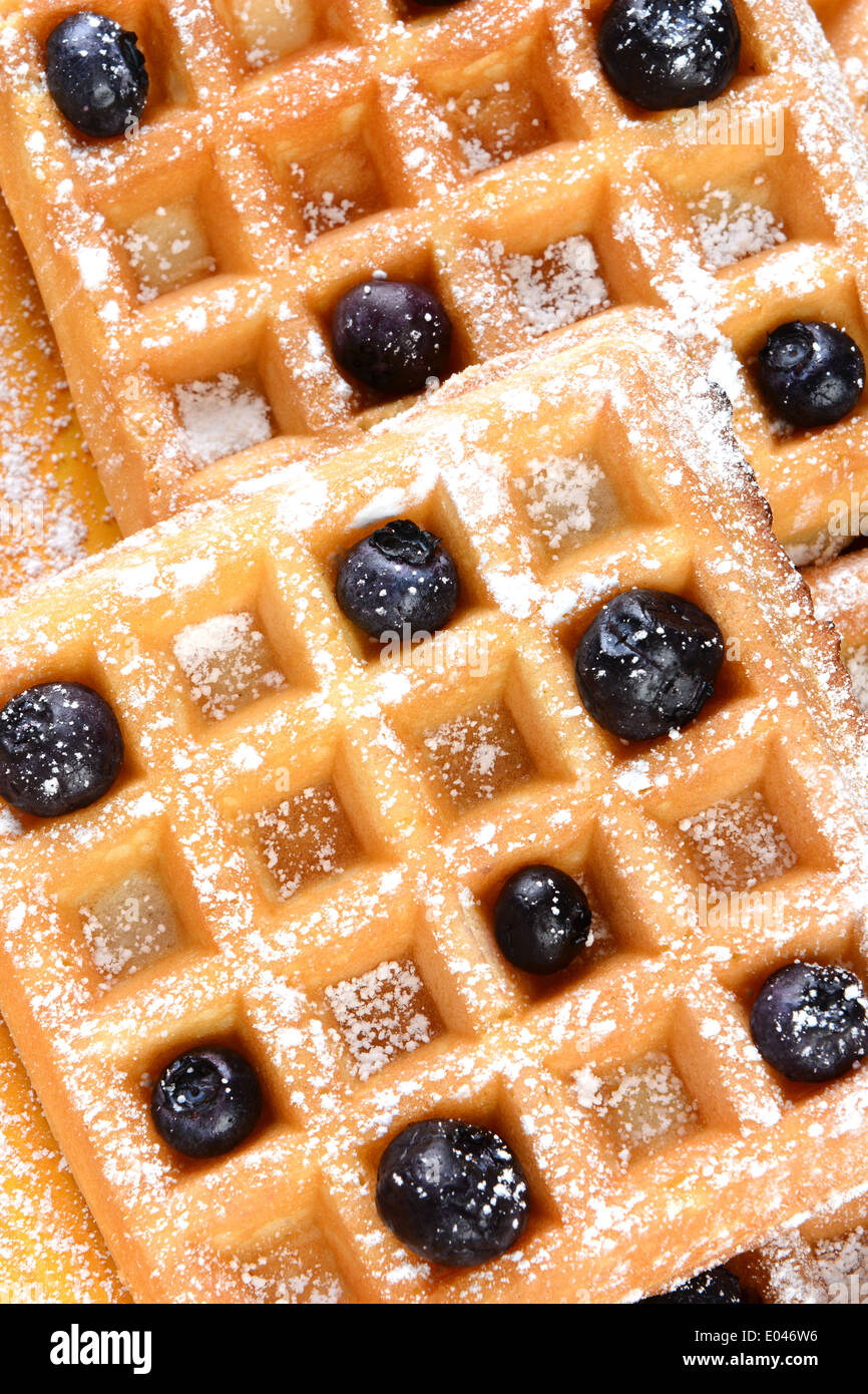 High angle shot of blueberry waffles. Closeup of waffles covered with