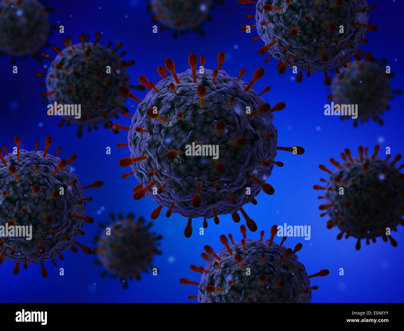 Microscopic view of herpes virus. Stock Photo