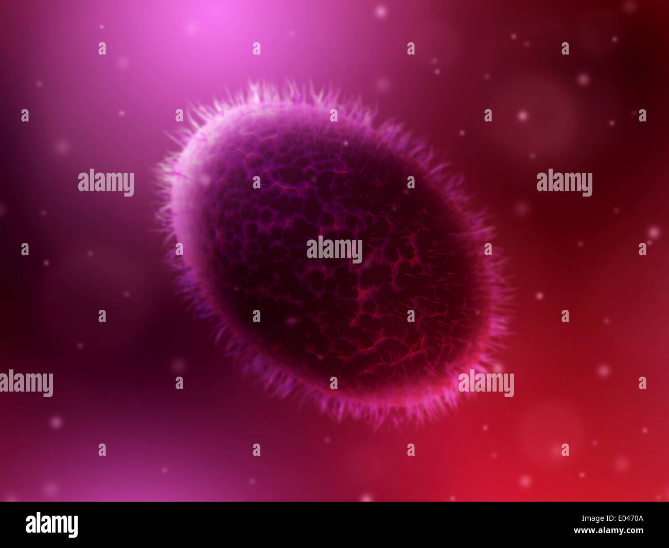 Microscopic view of smallpox. Stock Photo