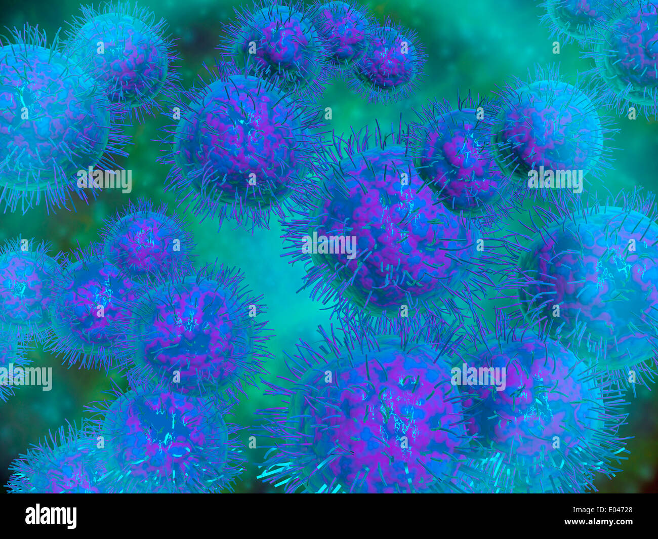 Microscopic view of diplococcus bacterium. Stock Photo