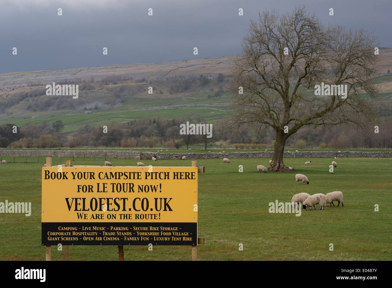 Wooden billboard sign advertising pop-up camp site in scenic rural field   in valley on route of 'Grand Depart'  - Burnsall, Yorkshire, England, UK. Stock Photo