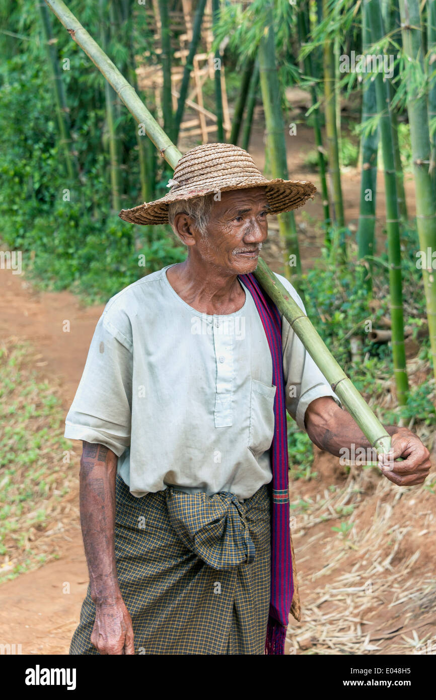Portrait of an old man carrying a stalk of bamboo, Inle Lake, Myanmar Stock  Photo - Alamy
