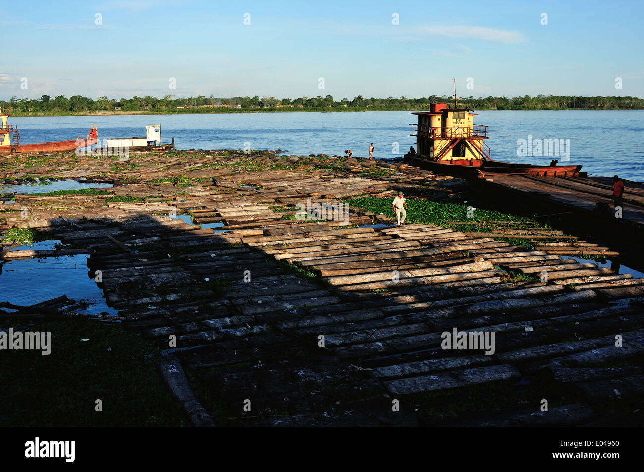 Floating logs - Port of Punchana in IQUITOS . Department of Loreto .PERU Stock Photo