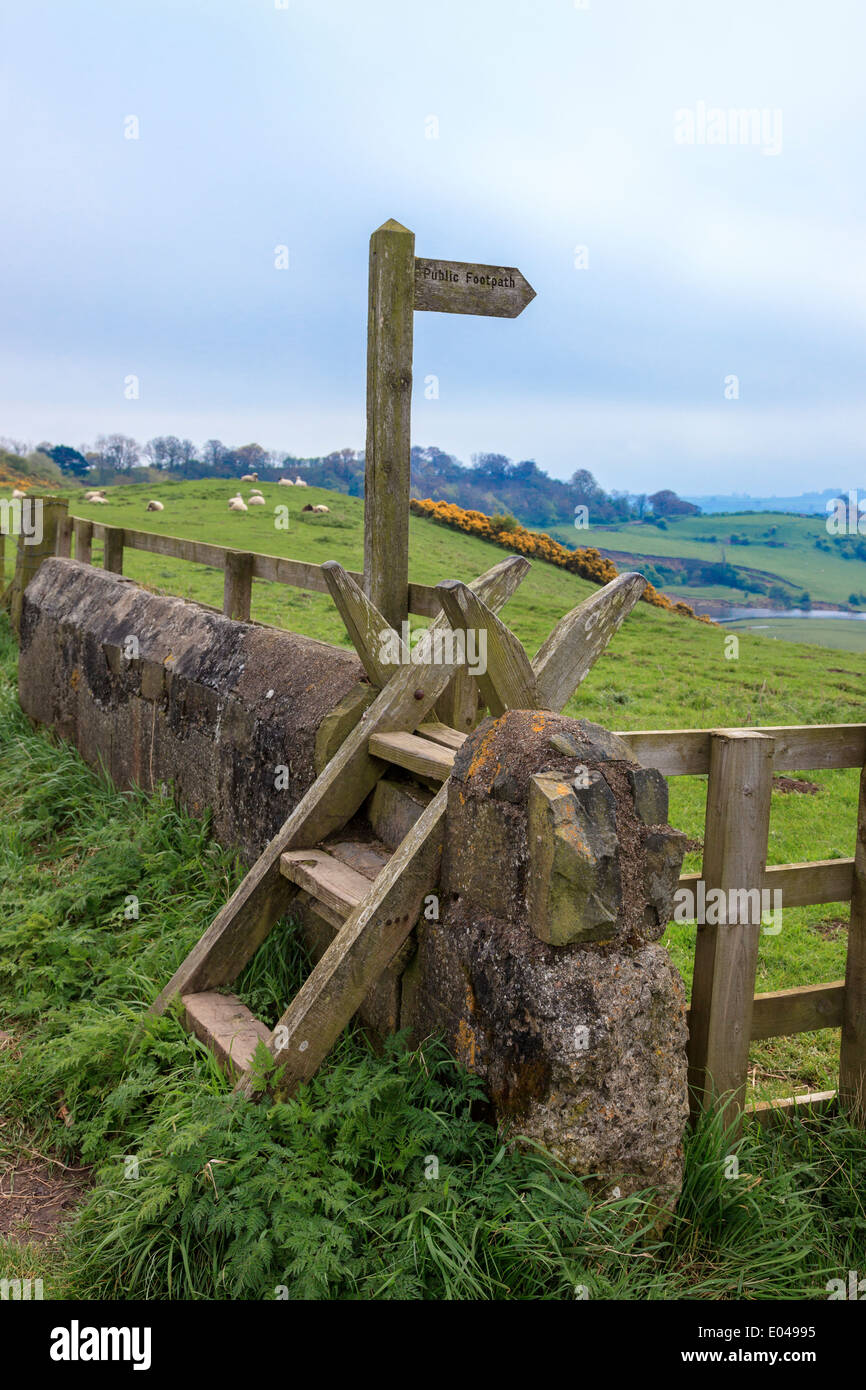 Foot stile and stone wall with a footpath sign on a walkway across Northumberland countryside near Embleton, England, UK Stock Photo
