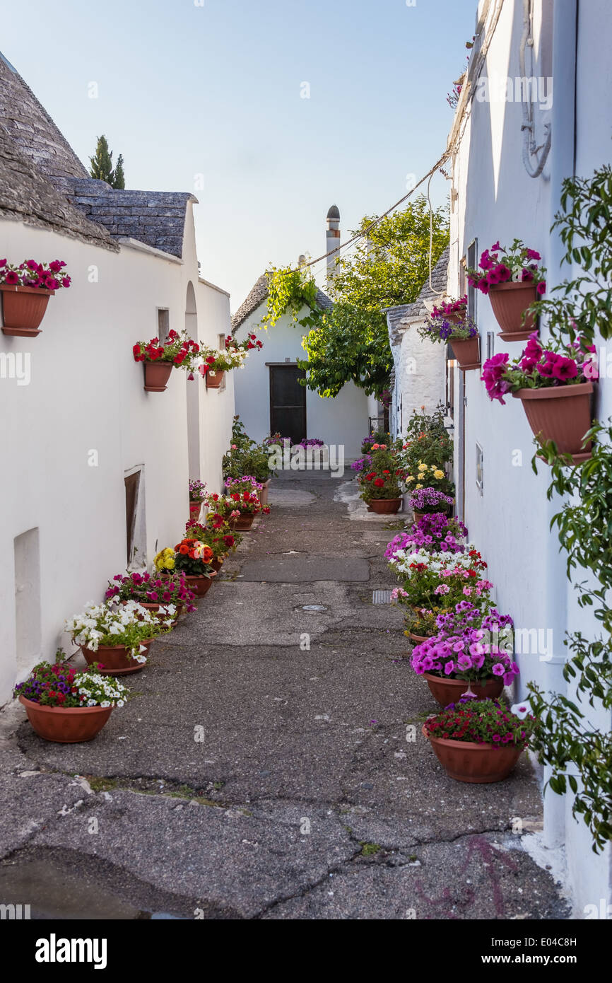 South italy villa rustic hi-res stock photography and images - Alamy