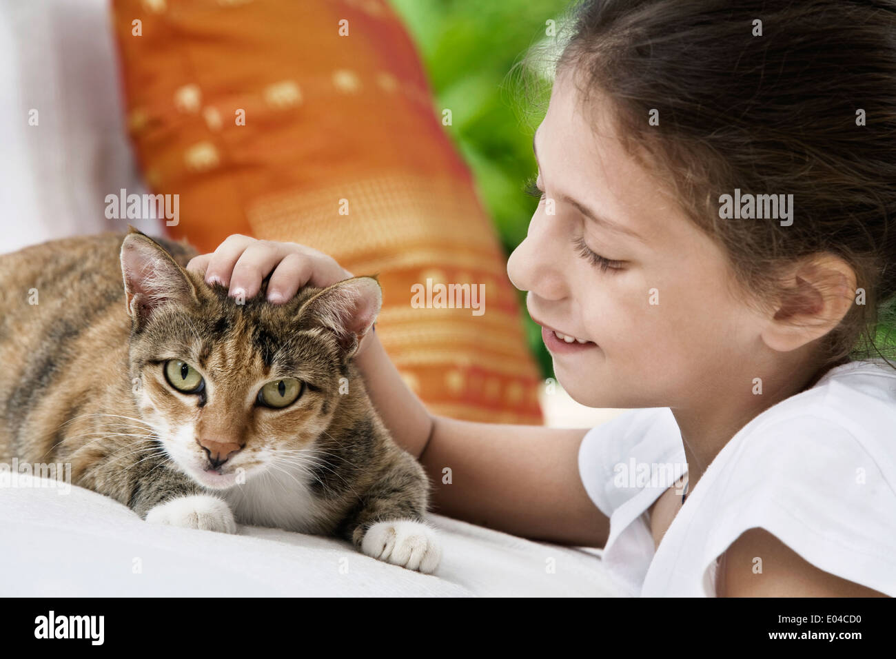 portrait of nice little girl with cat in summer environment Stock Photo ...