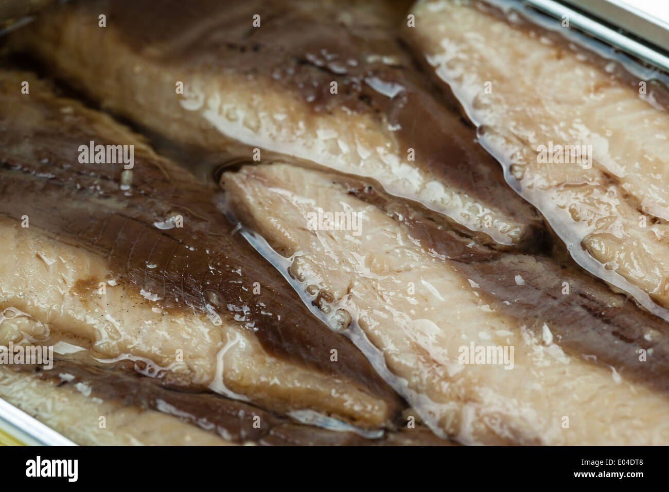 Macro shot of Mackerel Fillets in a tin Stock Photo Alamy