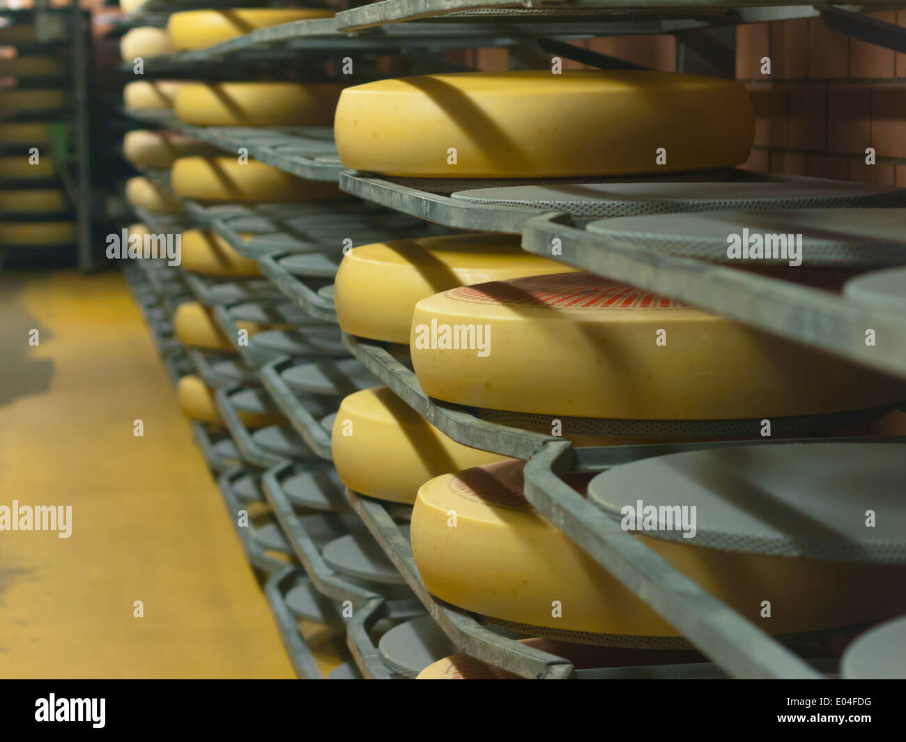 Swiss cheese wheels stored for aging in a cheese dairy in Emmental, Switzerland Stock Photo