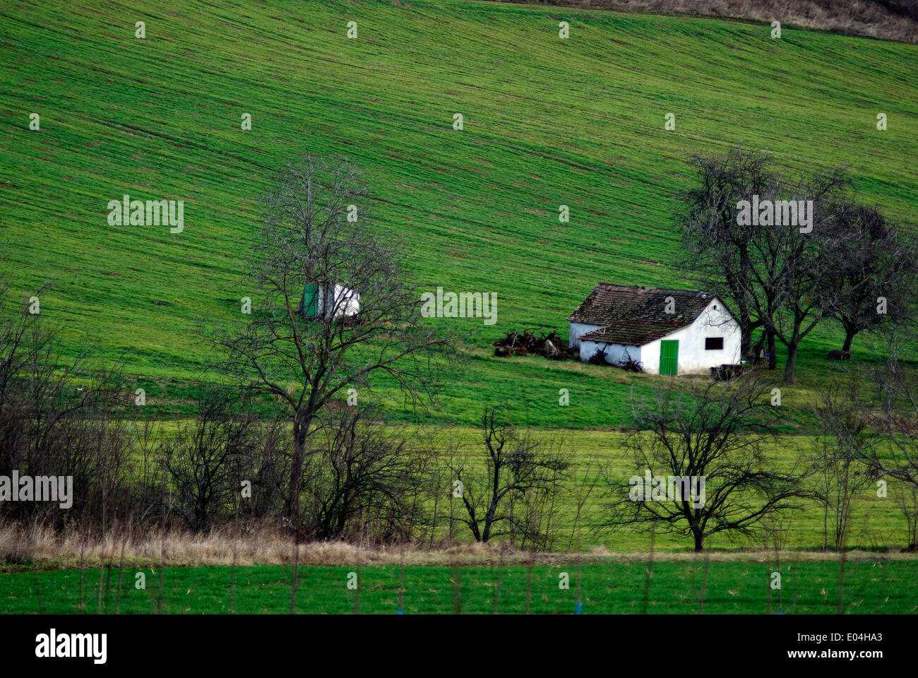 Green field with farm house in background at countryside Stock Photo ...