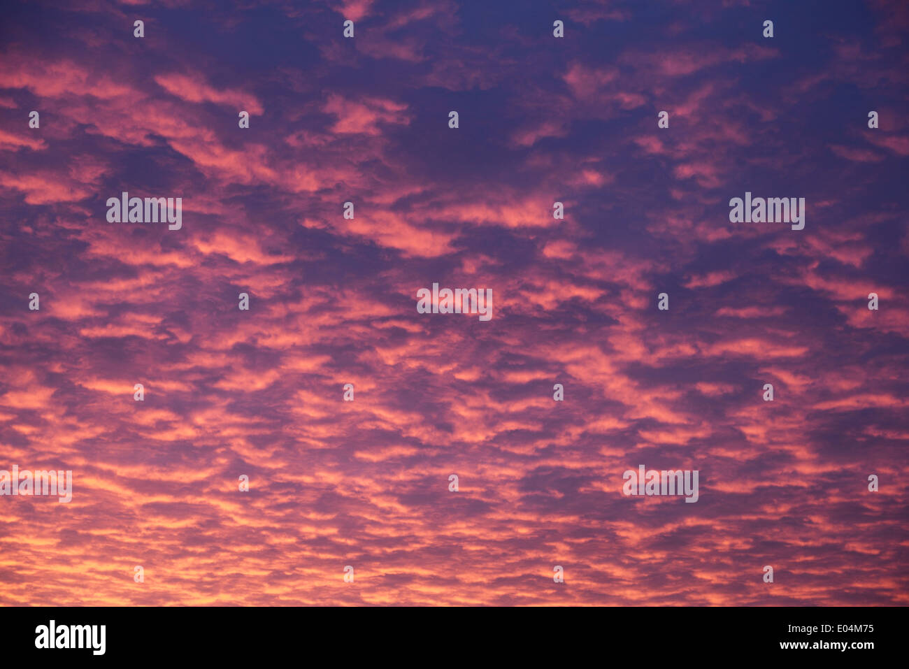 Red clouds and early morning sunrise UK Stock Photo