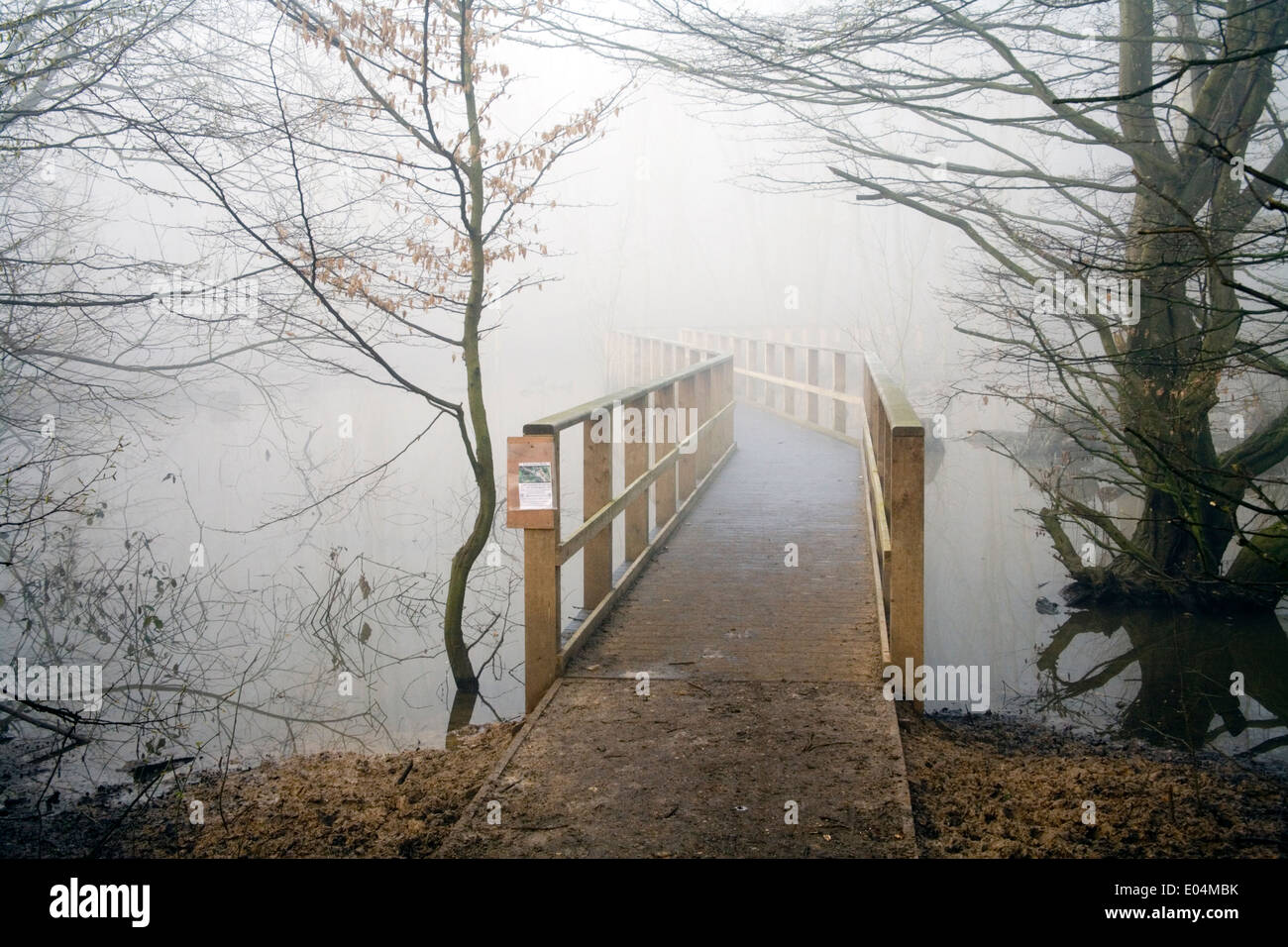 Wooden footbridge disappearing in mist over pond water in woods Stock Photo