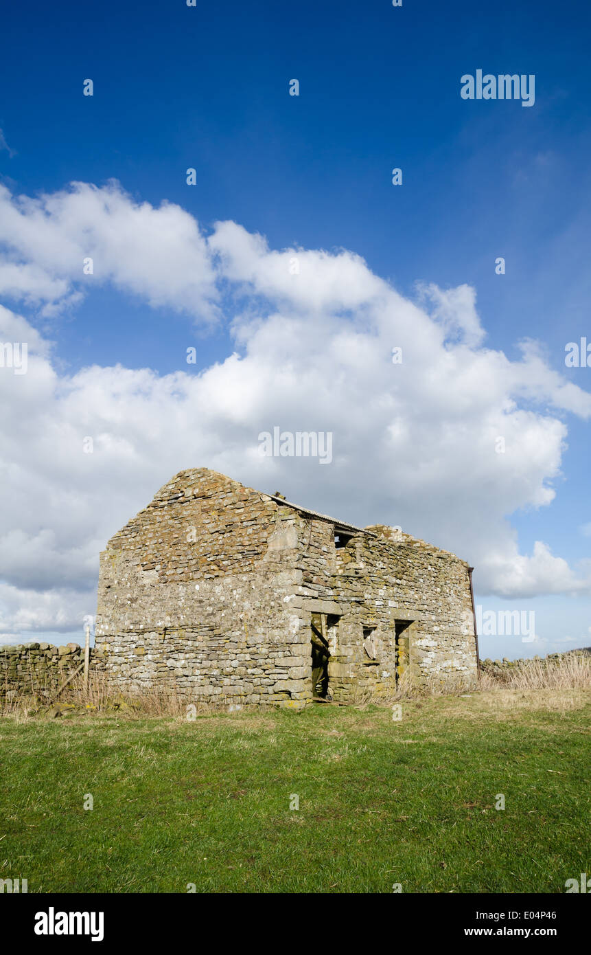 Roofless dales barn Stock Photo