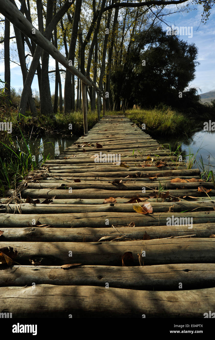 South Africa Bridge High Resolution Stock Photography and Images - Alamy