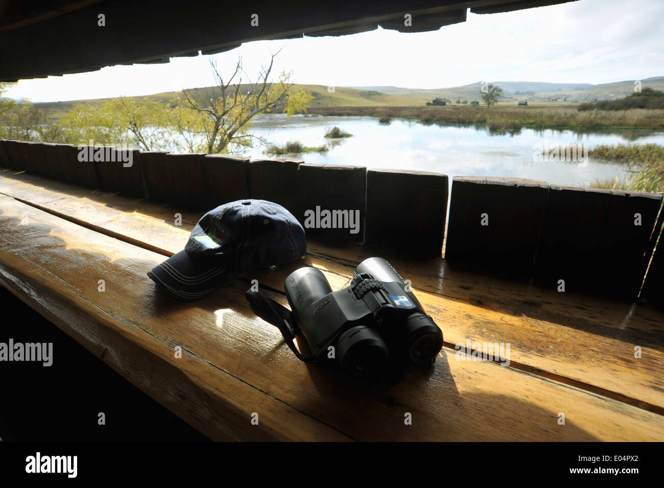 Beautiful landscape, bird watching, Wakkerstroom, Mpumalanga, South