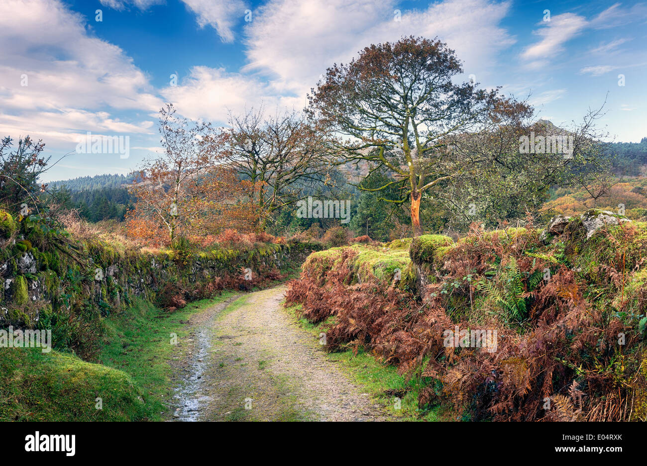 A country track leading towards Burrator on Dartmoor National Park in Devon Stock Photo