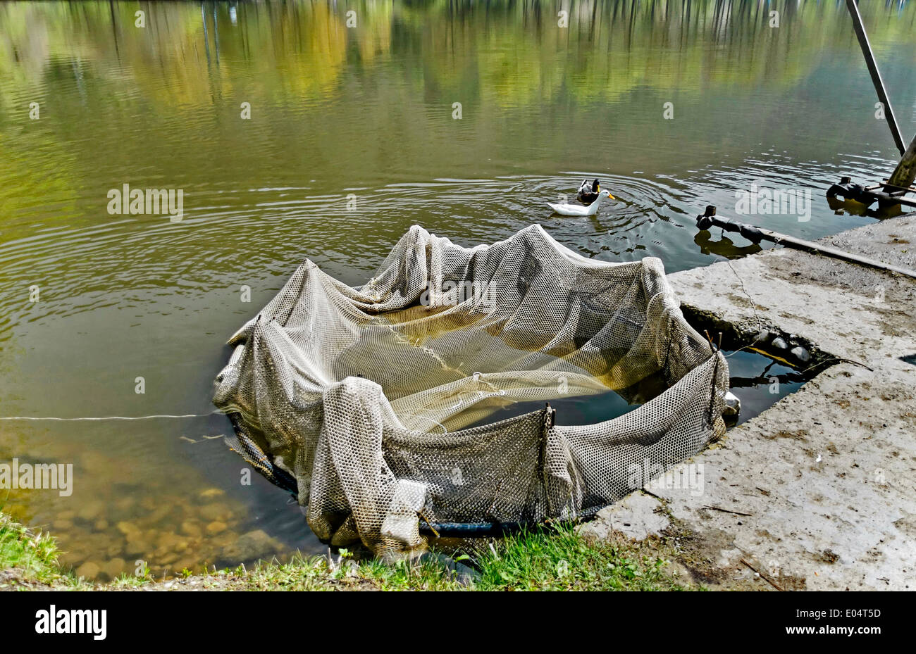 Fishing net at breeding-pond in the Pancharevo, Bulgaria Stock Photo