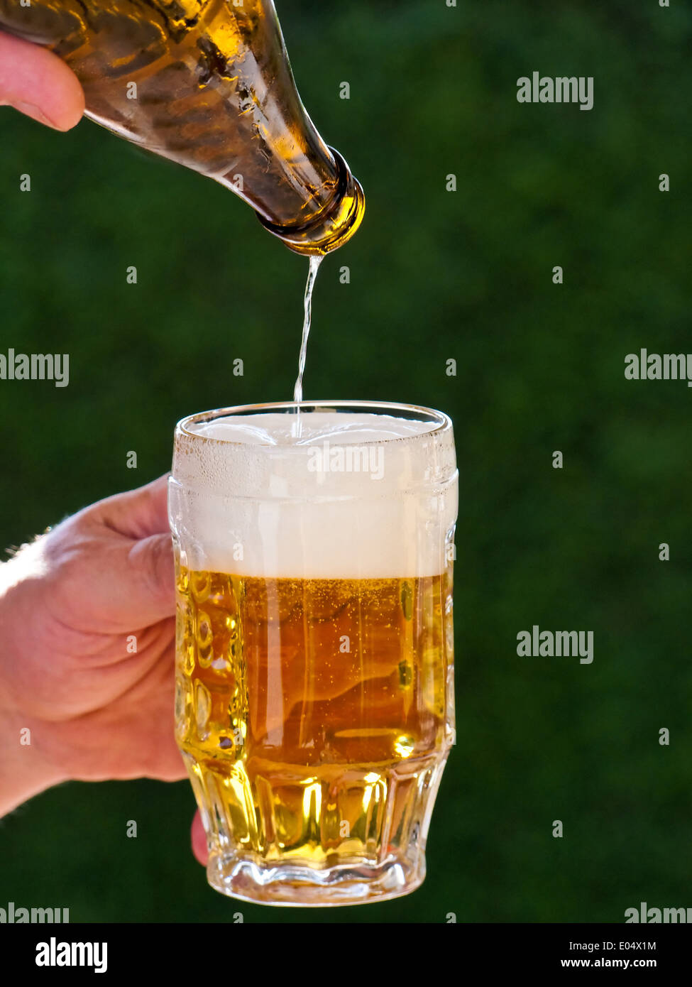 Fresh beer from a beer bottle is poured out in beer glass, Frisches Bier aus einer Bierflasche wird in Bierglas eingeschenkt Stock Photo