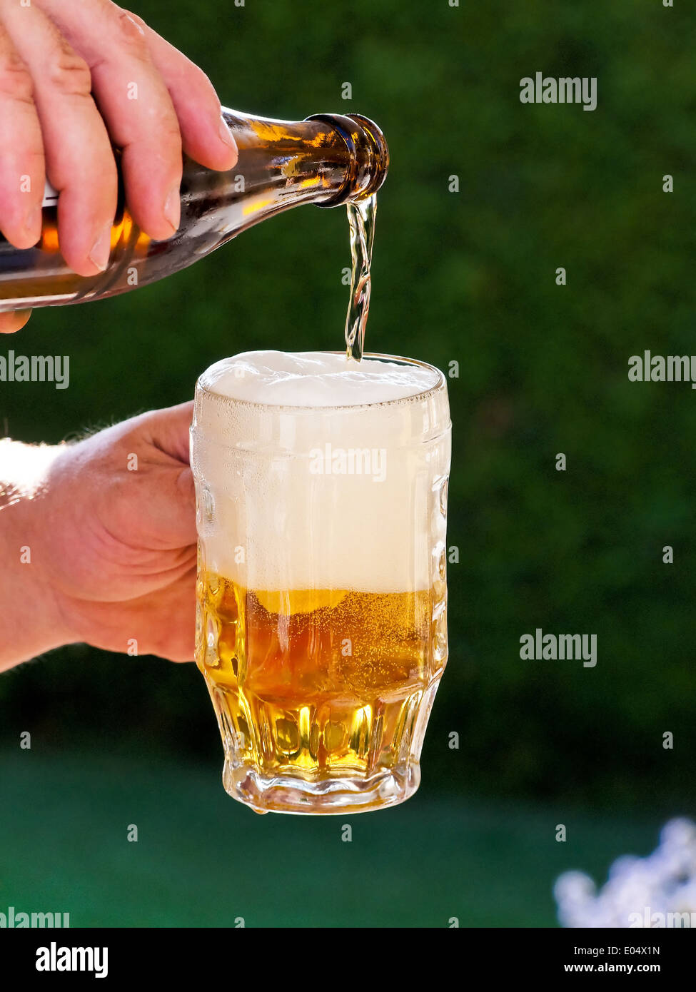 Fresh beer from a beer bottle is poured out in beer glass, Frisches Bier aus einer Bierflasche wird in Bierglas eingeschenkt Stock Photo