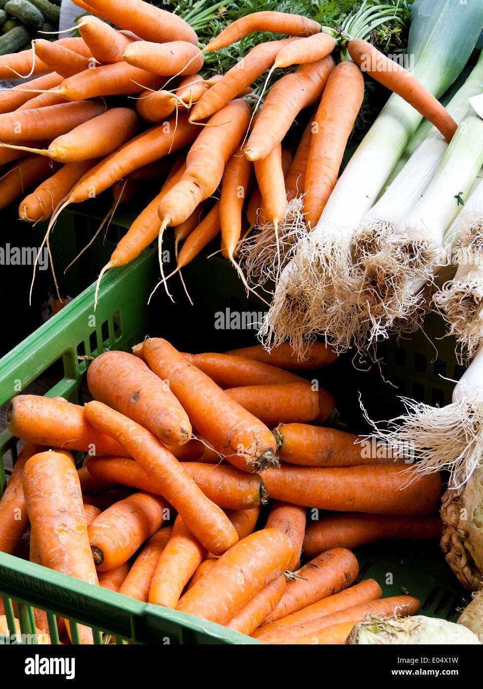 In alliance of fresh carrots At a market for the sales, Ein Bund frischer Moehren auf einem Markt zum Verkauf Stock Photo