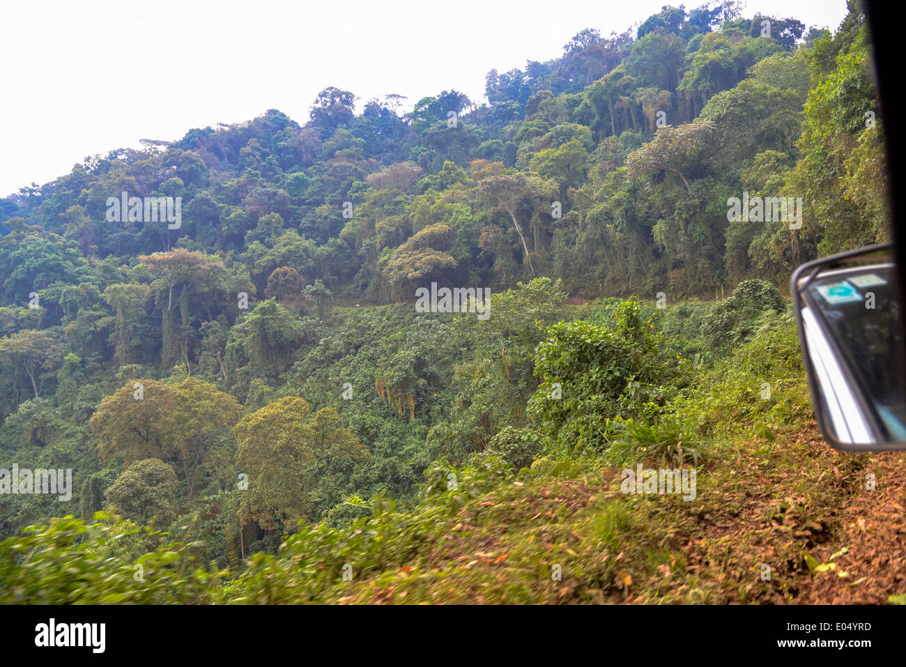 a road through bwindi national park, Uganda Stock Photo