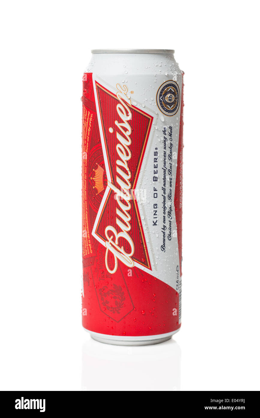 Illustrative editorial product shot of Budweiser can Stock Photo Alamy