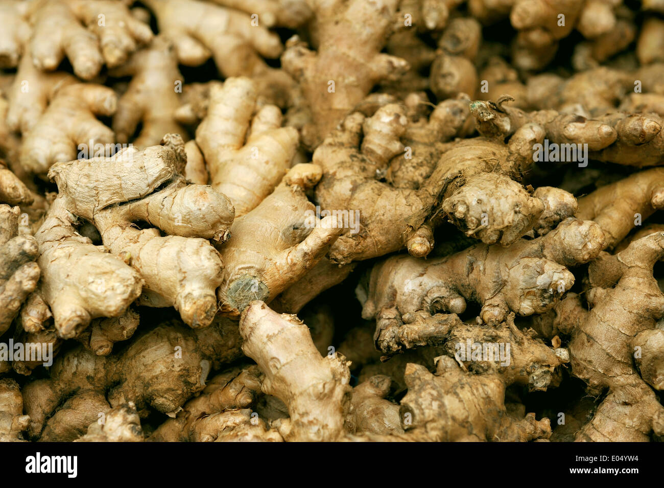 FRESH GINGER ROOT FOR SALE IN A MARKET Stock Photo