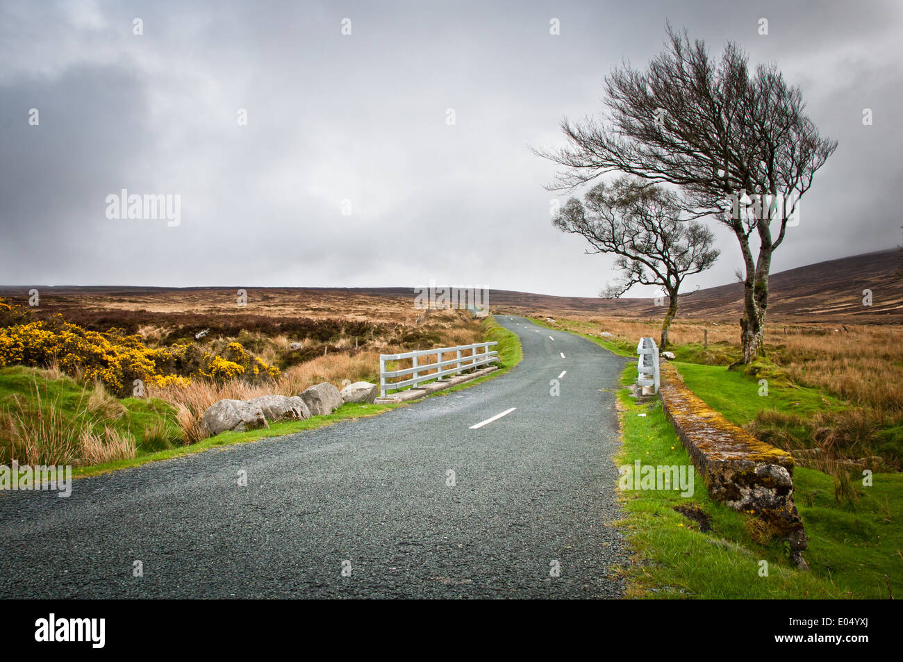 Empty Road through Open Moorland Stock Photo