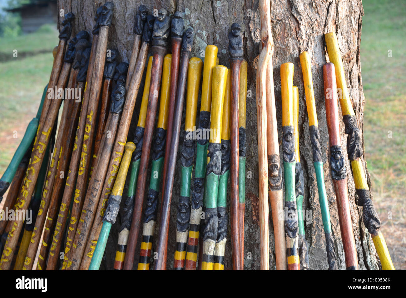 a collection of walking sticks used during trekking to find gorilla's in bwindi national park, Uganda Stock Photo