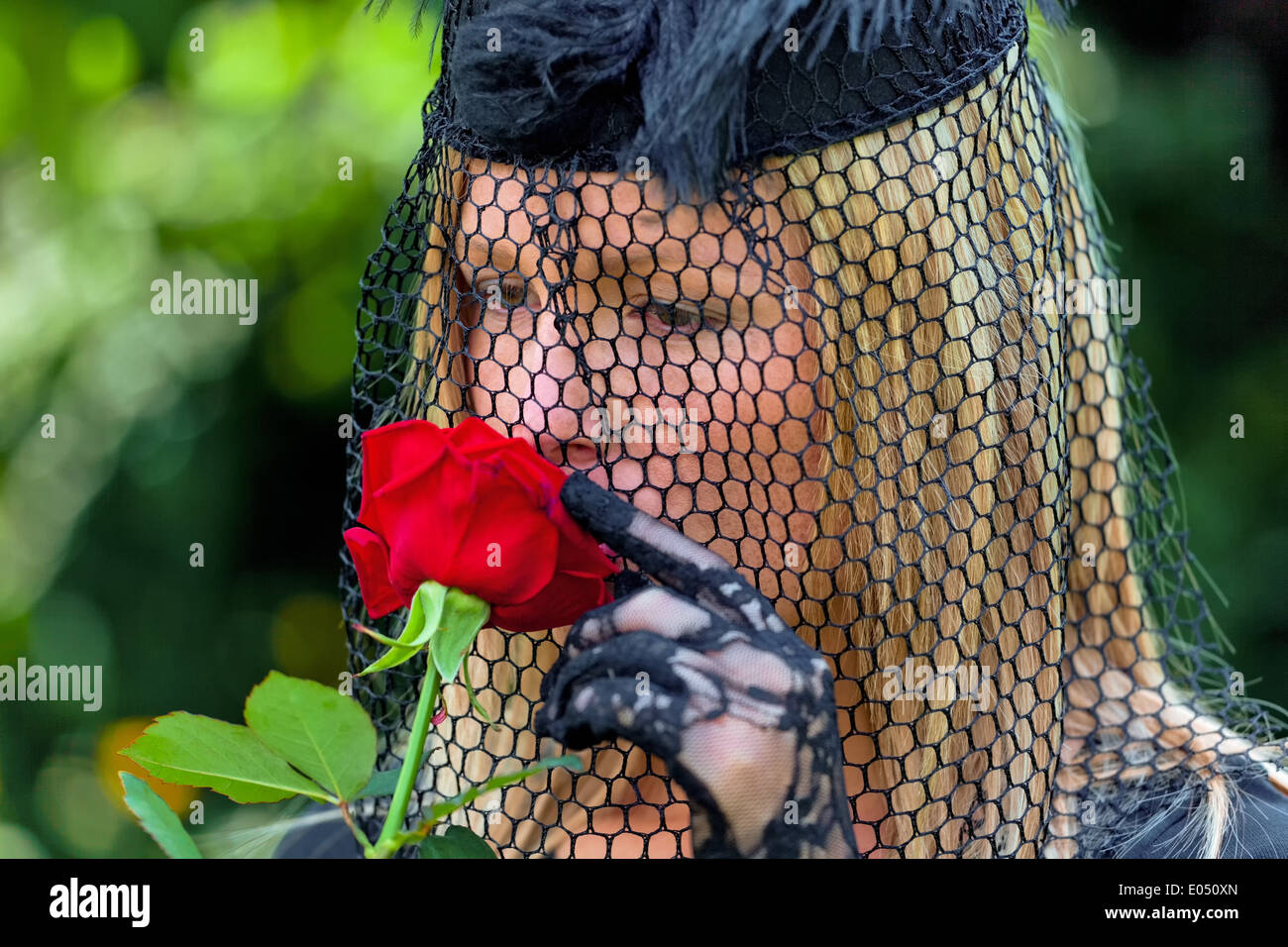 A young, mourning widow with veil and rose. Death and inheritance., Eine junge, trauernde Witwe mit Schleier und Rose. Todesfall Stock Photo